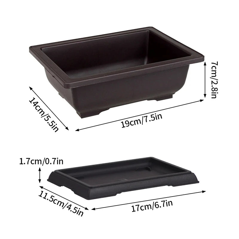 Macetas rectangulares de plástico para entrenamiento de bonsáis con bandeja de drenaje para plantas suculentas y bonsáis. Decoración del hogar.