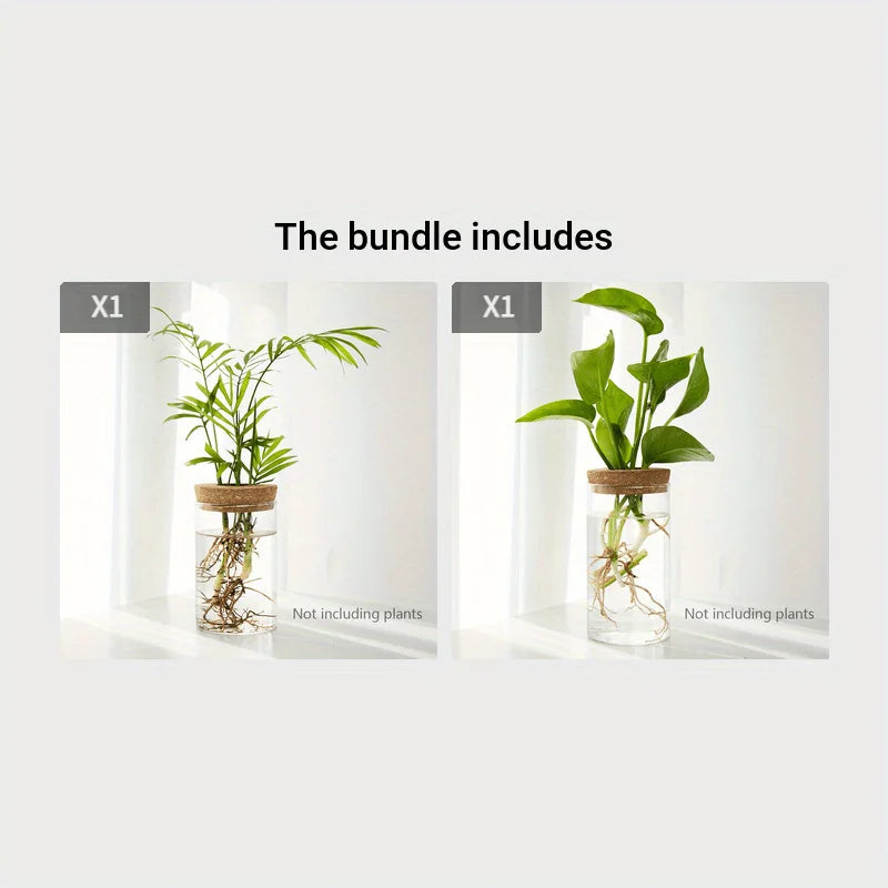 Jarrón de vidrio hidropónico de escritorio, decorativo para el hogar, para el cultivo de plantas, ideal para la oficina o como contenedor para el enraizamiento de plantas verdes.