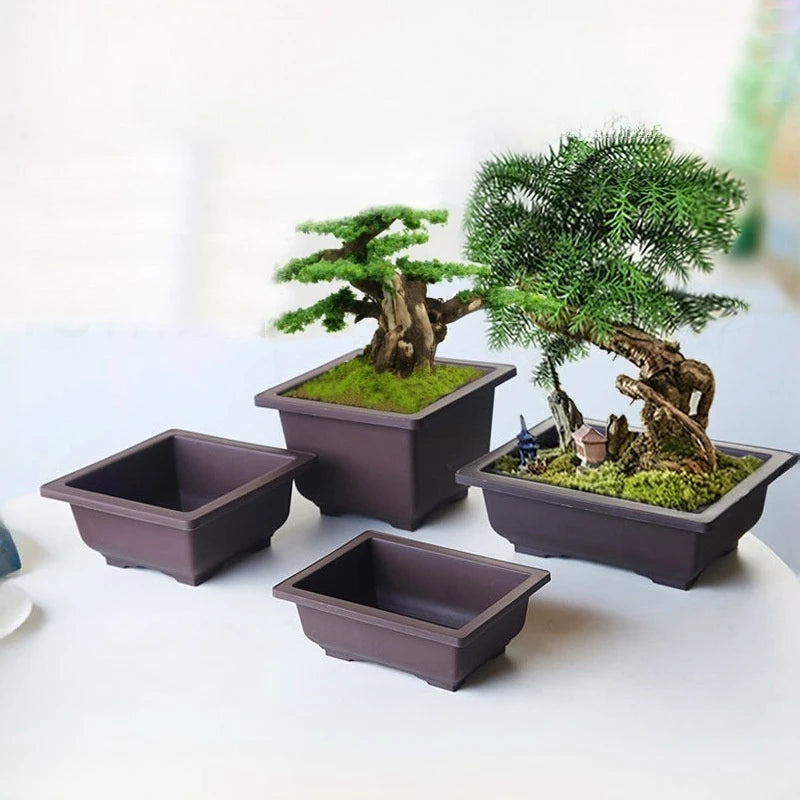 Macetas rectangulares de plástico para entrenamiento de bonsáis con bandeja de drenaje para plantas suculentas y bonsáis. Decoración del hogar.