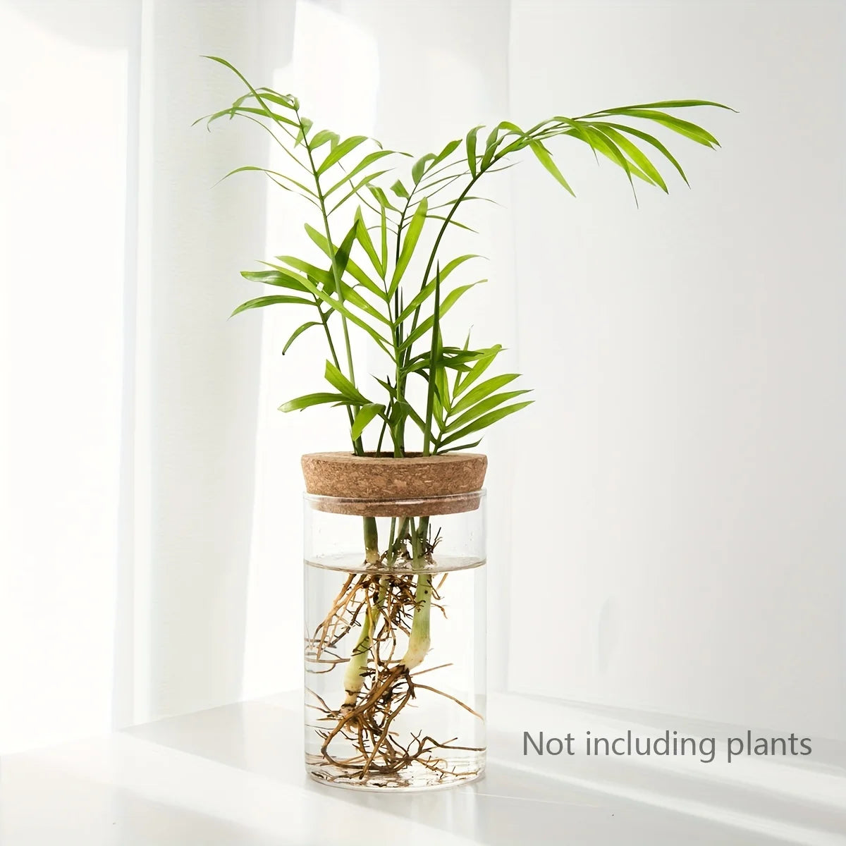 Jarrón de vidrio hidropónico de escritorio, decorativo para el hogar, para el cultivo de plantas, ideal para la oficina o como contenedor para el enraizamiento de plantas verdes.