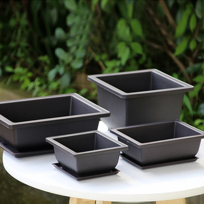 Macetas rectangulares de plástico para entrenamiento de bonsáis con bandeja de drenaje para plantas suculentas y bonsáis. Decoración del hogar.