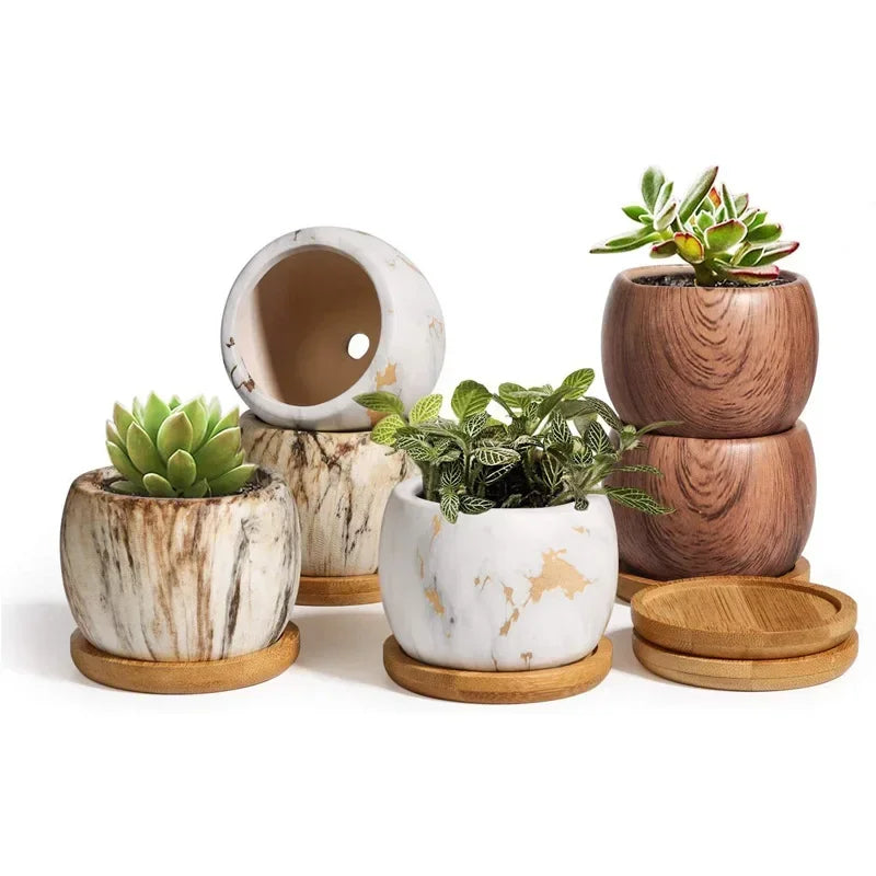 Macetas de cerámica para suculentas con transferencia de agua, diseño nórdico creativo, jarrón artístico para jardinería, decoración para el hogar y la oficina, suministros de jardinería.