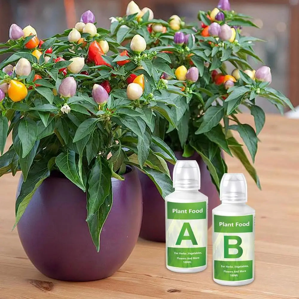 Fertilizante hidropónico AB Solution Set Alimento para plantas de jardín hidropónico Fertilizante para plantas Flores Hortalizas Nutrientes