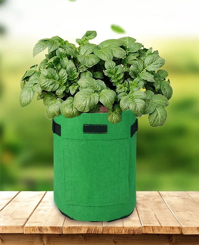 Bolsa de cultivo de fieltro de 2 tamaños, tela no tejida, macetas para patatas de jardín, invernaderos, bolsas de cultivo de hortalizas, herramientas verticales de hidratación