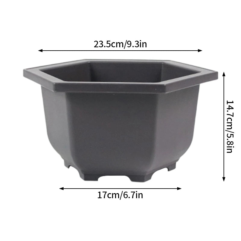 Macetas rectangulares de plástico para entrenamiento de bonsáis con bandeja de drenaje para plantas suculentas y bonsáis. Decoración del hogar.
