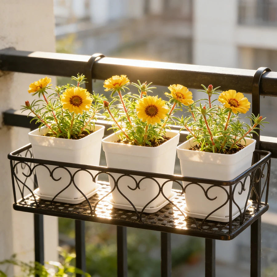 10 macetas cuadradas con bandejas de drenaje: ideales para suculentas, jardinería de escritorio en la oficina y decoración de balcones.