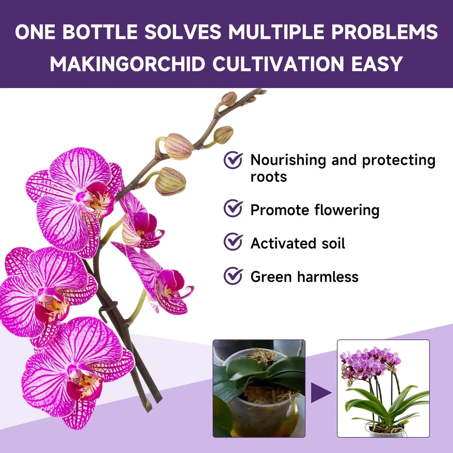 Fertilizante líquido especial para orquídeas de 50 ml, para plantas de jardín hidropónico, suplemento de nutrición y crecimiento. Nutrientes compuestos para flores.