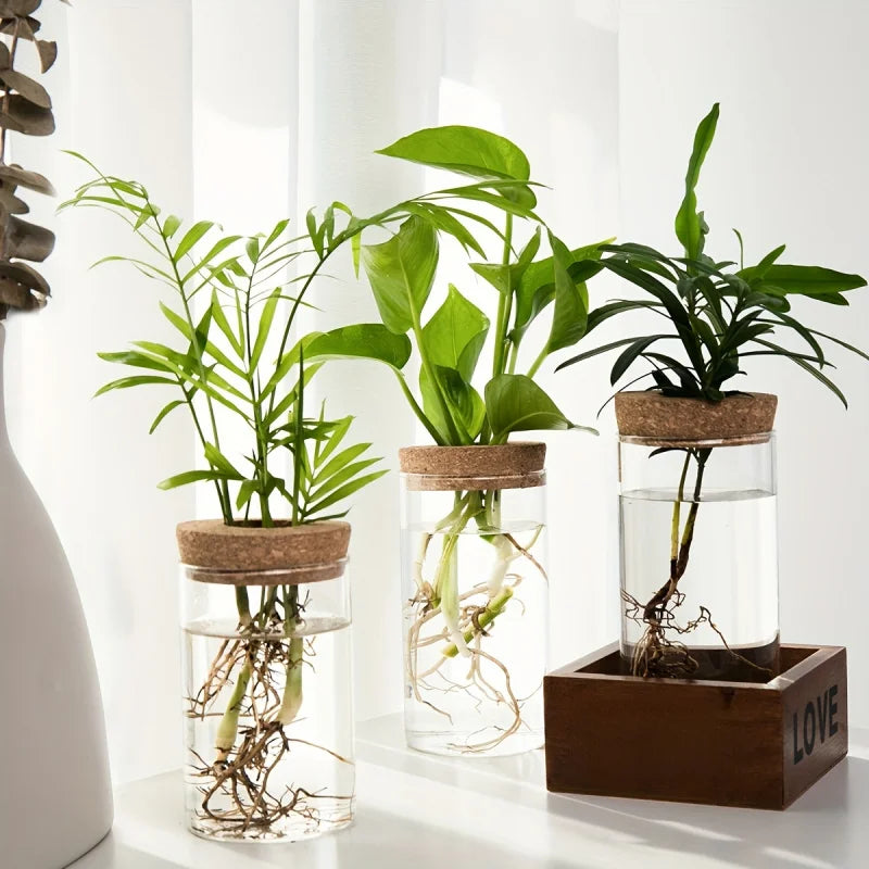 Jarrón de vidrio hidropónico de escritorio, decorativo para el hogar, para el cultivo de plantas, ideal para la oficina o como contenedor para el enraizamiento de plantas verdes.