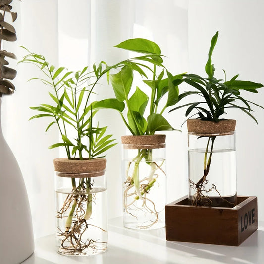 Jarrón de vidrio hidropónico de escritorio, decorativo para el hogar, para el cultivo de plantas, ideal para la oficina o como contenedor para el enraizamiento de plantas verdes.