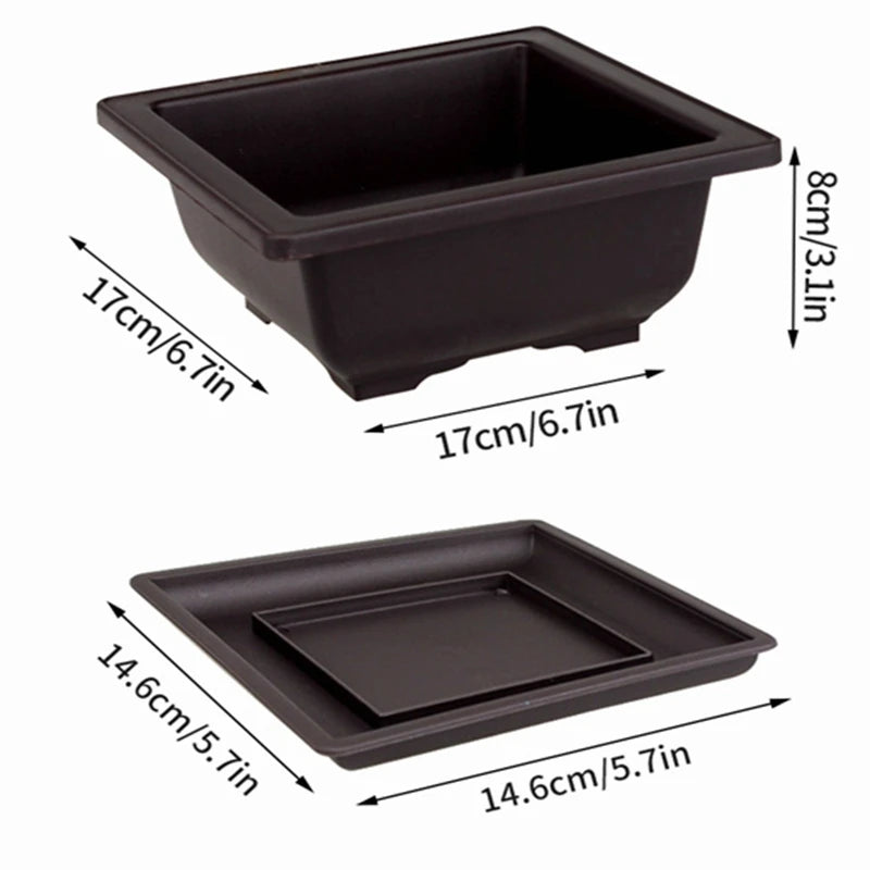 Macetas rectangulares de plástico para entrenamiento de bonsáis con bandeja de drenaje para plantas suculentas y bonsáis. Decoración del hogar.