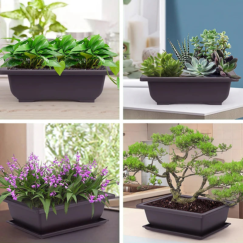 Macetas rectangulares de plástico para entrenamiento de bonsáis con bandeja de drenaje para plantas suculentas y bonsáis. Decoración del hogar.