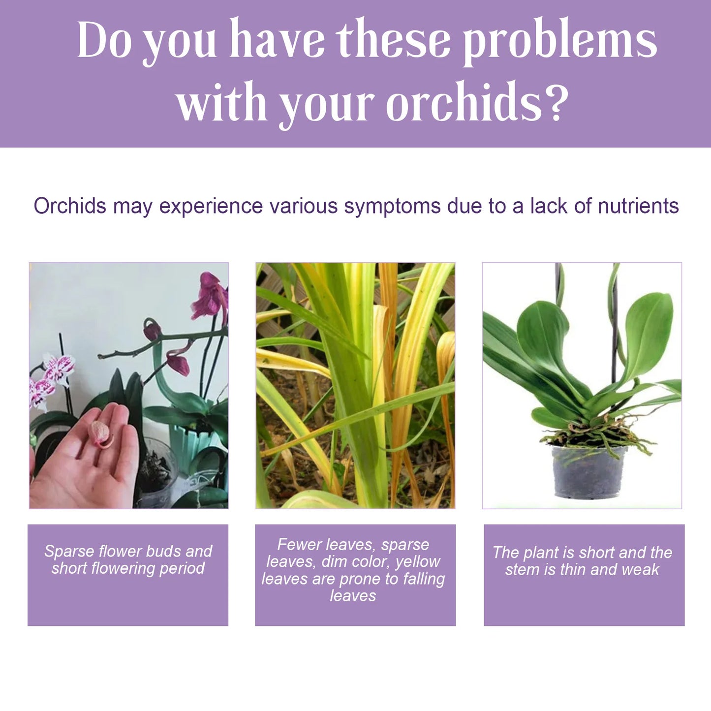 Fertilizante líquido especial para orquídeas de 50 ml, para plantas de jardín hidropónico, suplemento de nutrición y crecimiento. Nutrientes compuestos para flores.