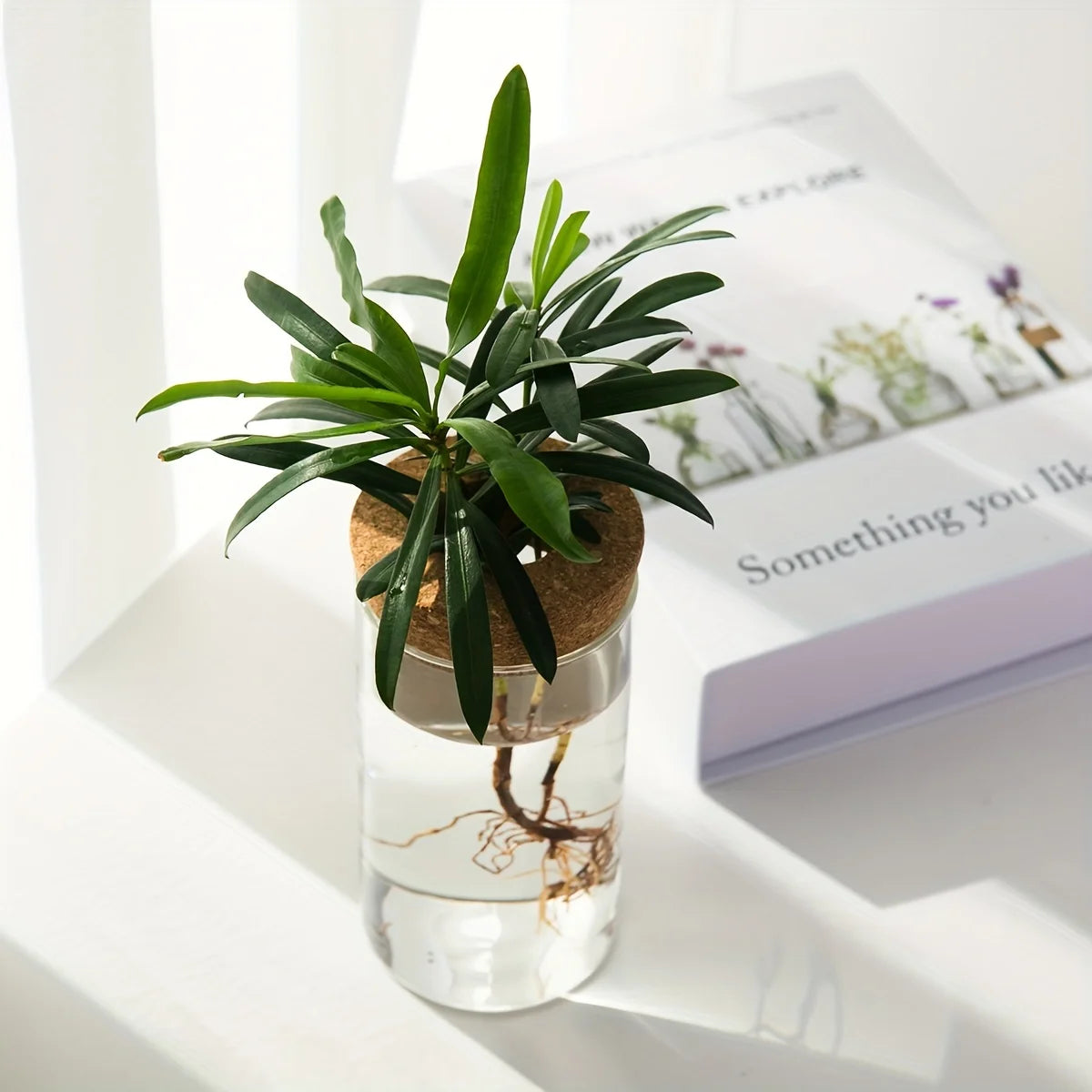 Jarrón de vidrio hidropónico de escritorio, decorativo para el hogar, para el cultivo de plantas, ideal para la oficina o como contenedor para el enraizamiento de plantas verdes.