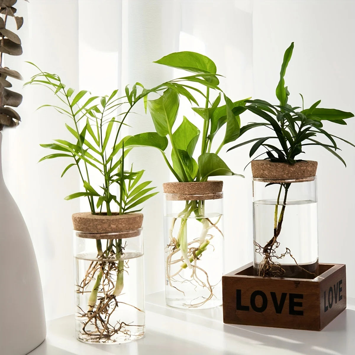 Jarrón de vidrio hidropónico de escritorio, decorativo para el hogar, para el cultivo de plantas, ideal para la oficina o como contenedor para el enraizamiento de plantas verdes.