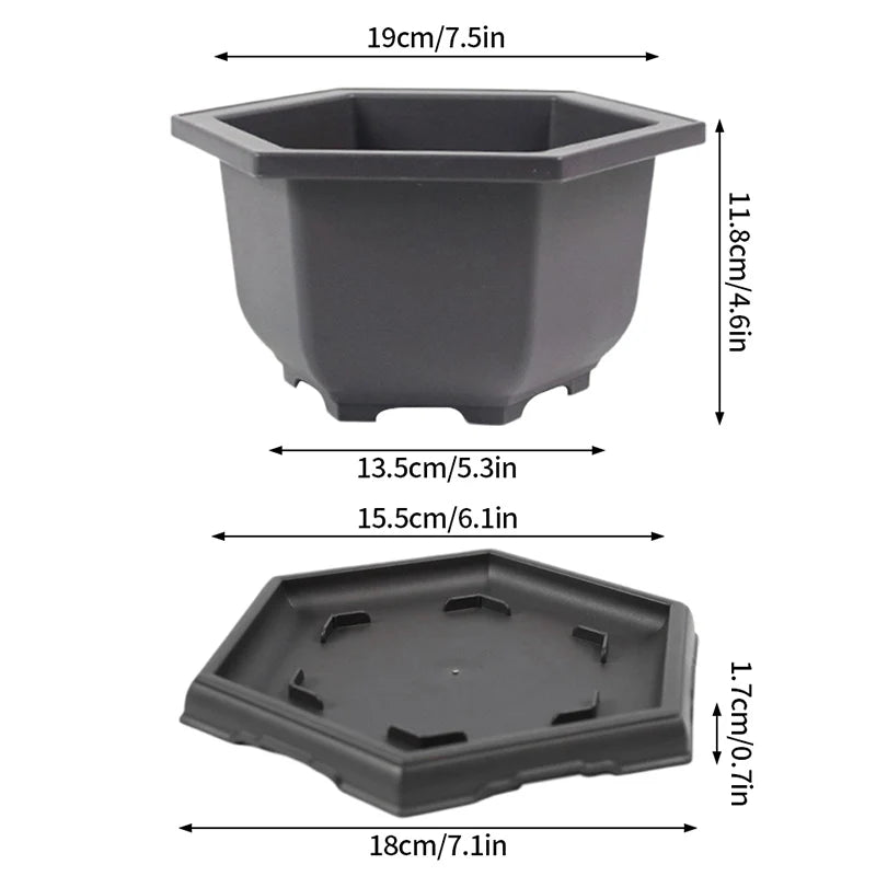 Macetas rectangulares de plástico para entrenamiento de bonsáis con bandeja de drenaje para plantas suculentas y bonsáis. Decoración del hogar.