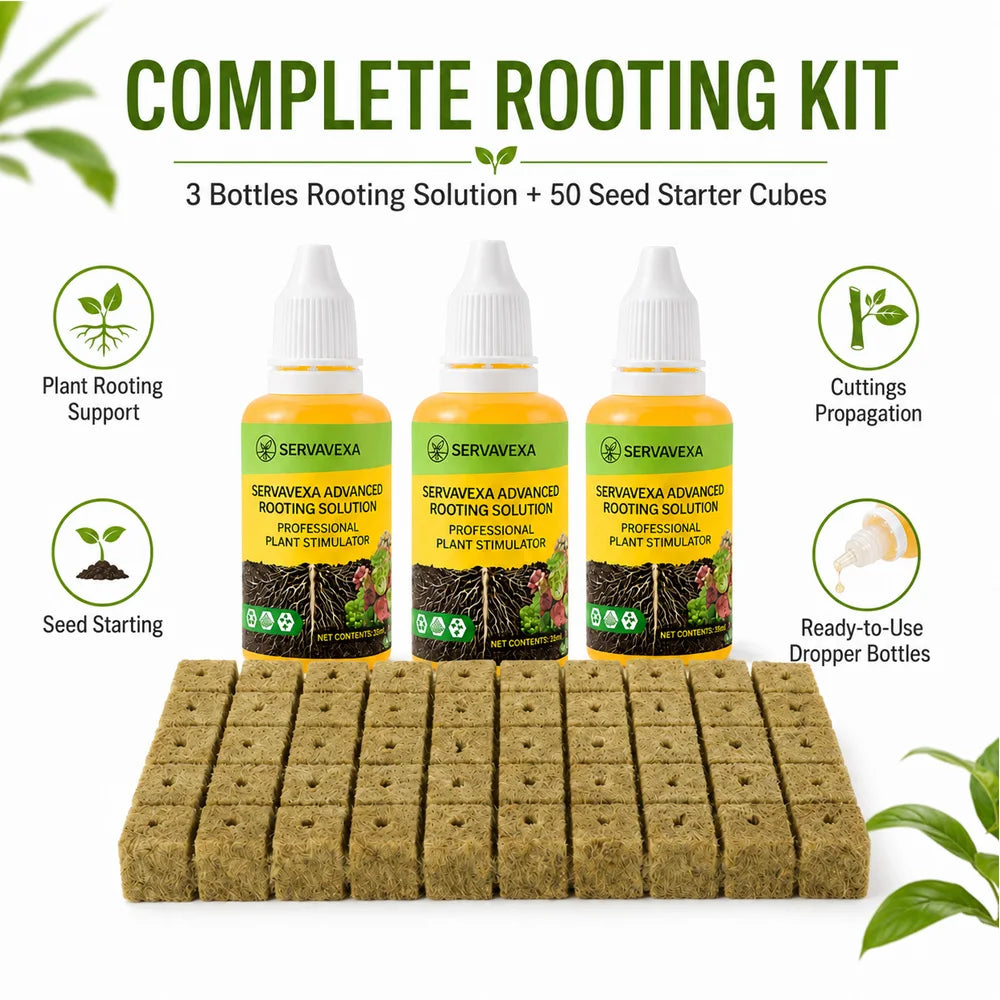 Fórmula de nutrientes líquidos para plantas estimuladores de raíces y cubos de lana de roca para la propagación de esquejes de semillas en hidroponía.