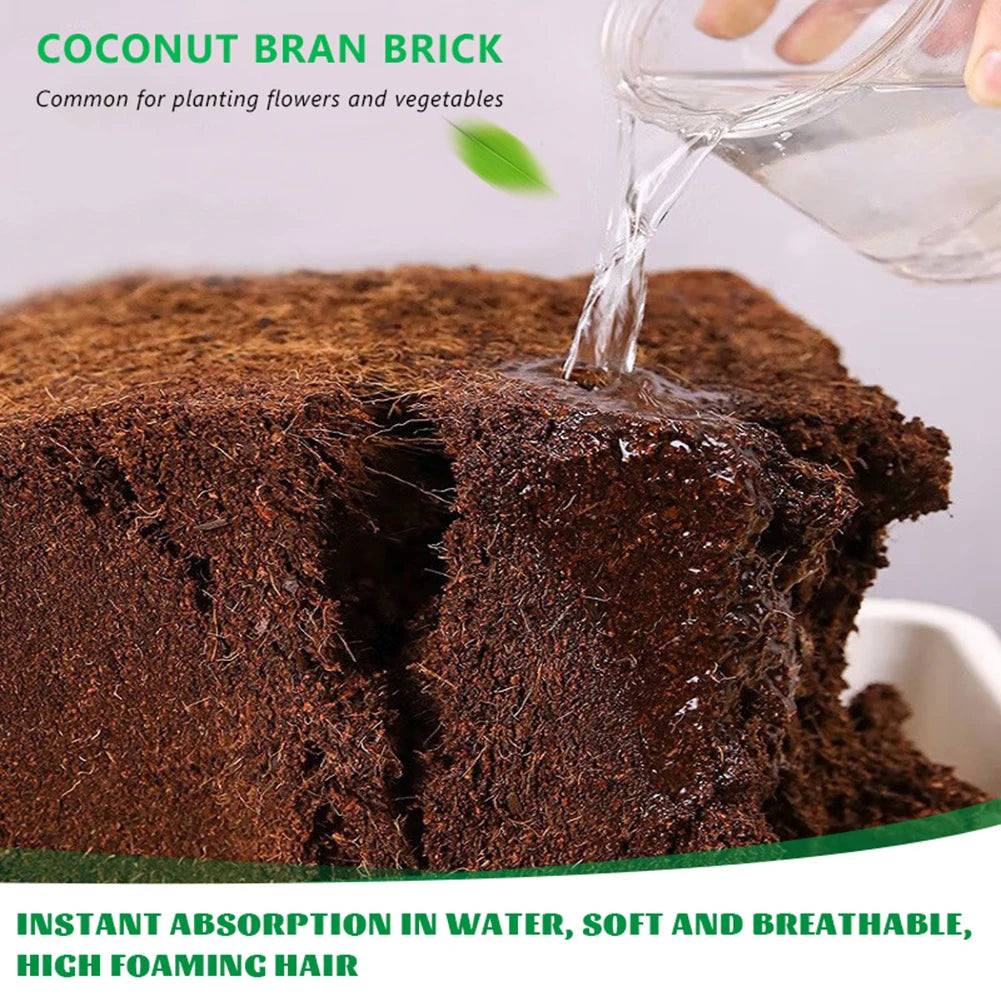 Bloque de fibra orgánica universal para plantas, cáscara de coco, plantación en maceta.