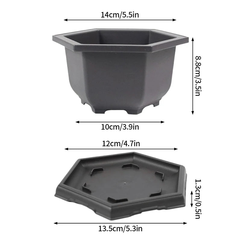 Macetas rectangulares de plástico para entrenamiento de bonsáis con bandeja de drenaje para plantas suculentas y bonsáis. Decoración del hogar.