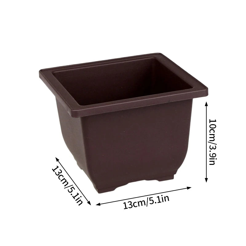 Macetas rectangulares de plástico para entrenamiento de bonsáis con bandeja de drenaje para plantas suculentas y bonsáis. Decoración del hogar.