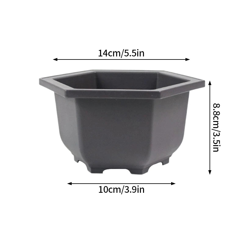 Macetas rectangulares de plástico para entrenamiento de bonsáis con bandeja de drenaje para plantas suculentas y bonsáis. Decoración del hogar.