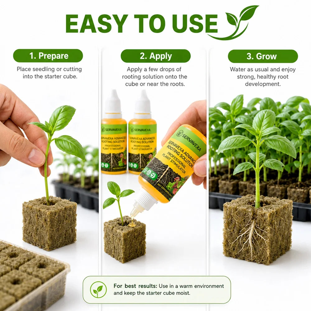 Fórmula de nutrientes líquidos para plantas estimuladores de raíces y cubos de lana de roca para la propagación de esquejes de semillas en hidroponía.