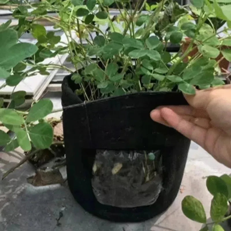 Bolsa de cultivo de fieltro de 2 tamaños, tela no tejida, macetas para patatas de jardín, invernaderos, bolsas de cultivo de hortalizas, herramientas verticales de hidratación