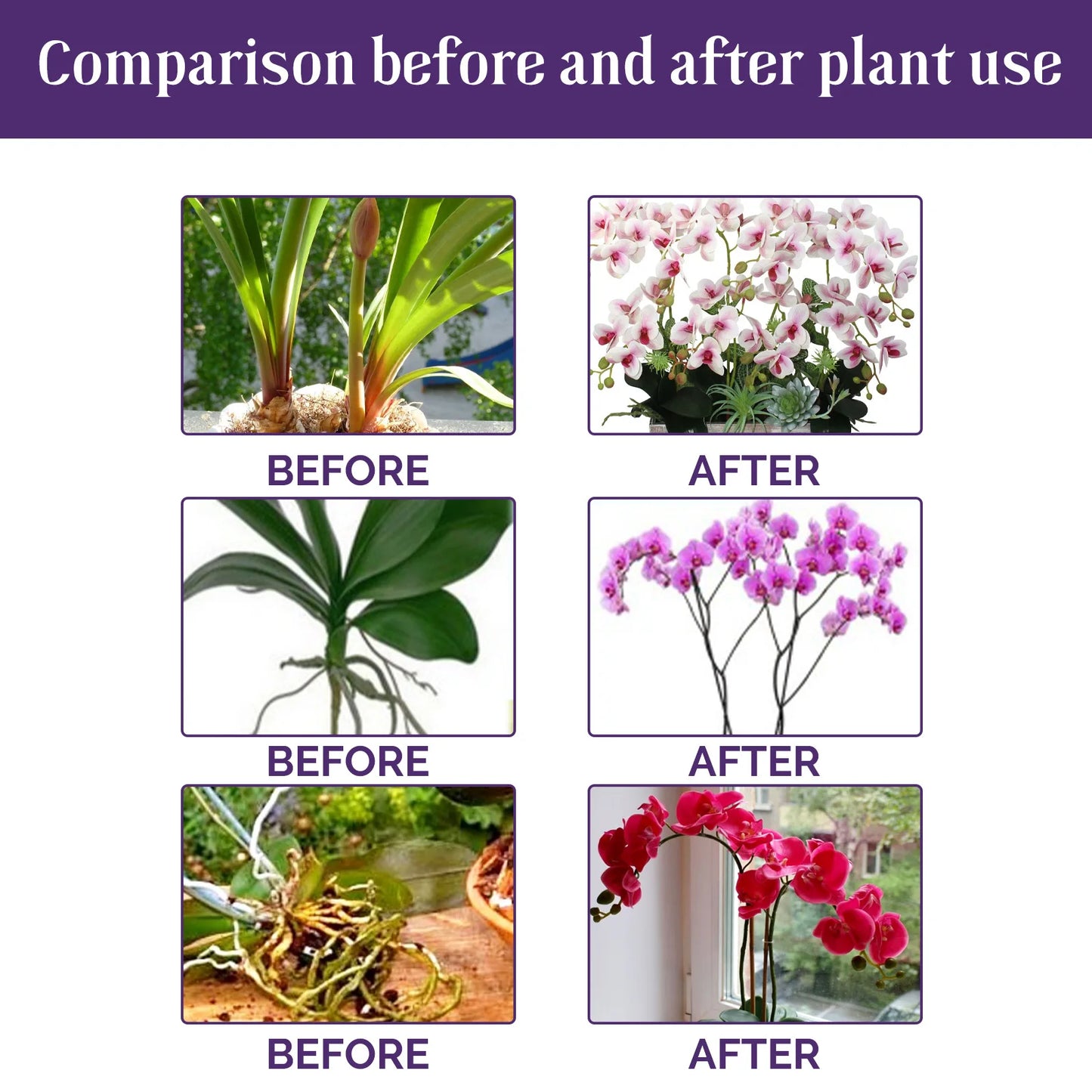 Fertilizante líquido especial para orquídeas de 50 ml, para plantas de jardín hidropónico, suplemento de nutrición y crecimiento. Nutrientes compuestos para flores.