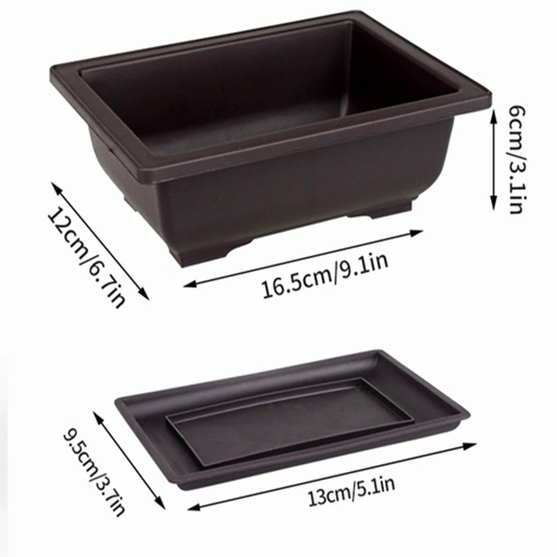 Macetas rectangulares de plástico para entrenamiento de bonsáis con bandeja de drenaje para plantas suculentas y bonsáis. Decoración del hogar.