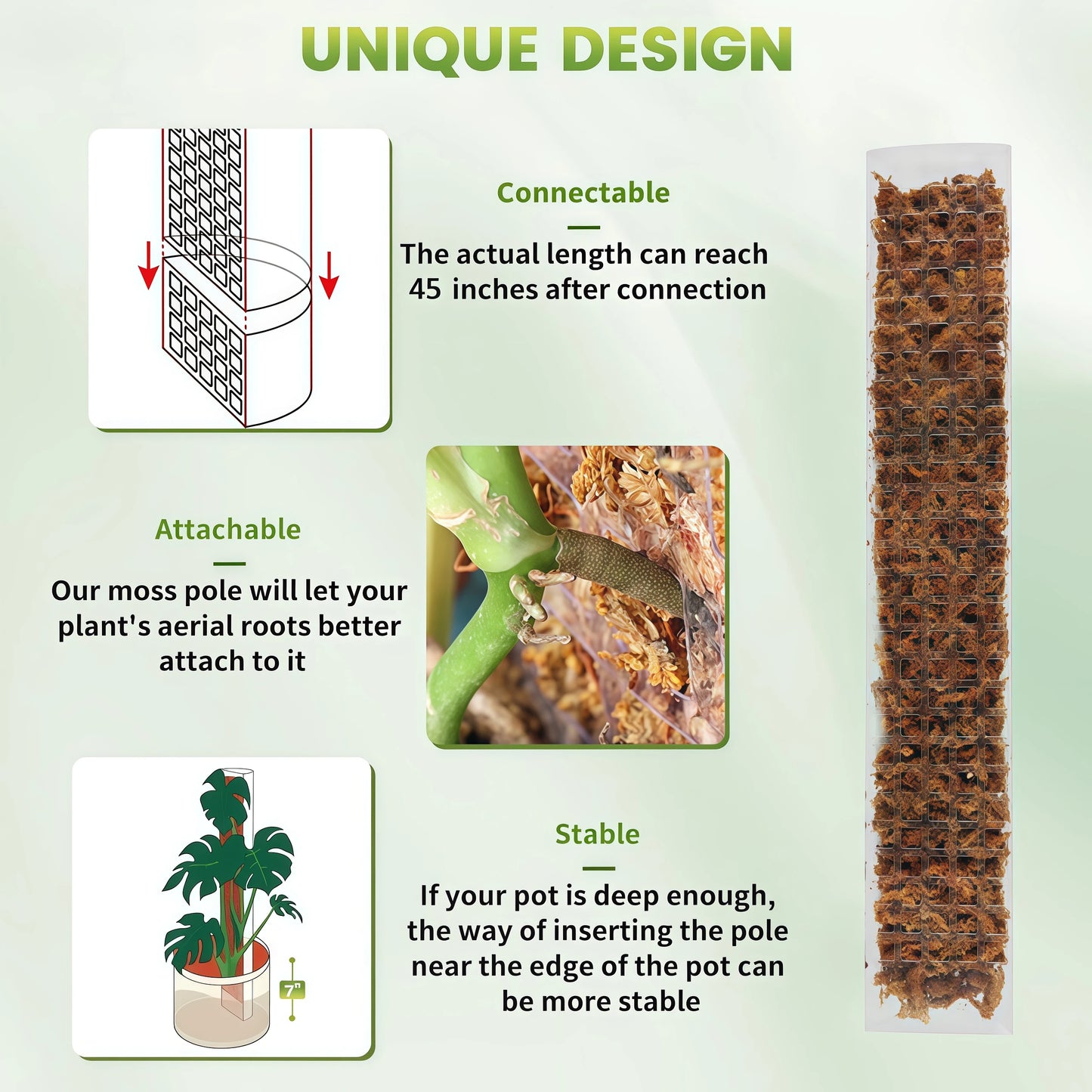 Tutor para plantas