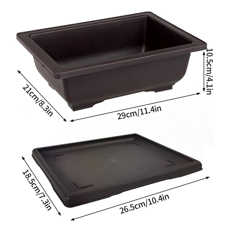 Macetas rectangulares de plástico para entrenamiento de bonsáis con bandeja de drenaje para plantas suculentas y bonsáis. Decoración del hogar.