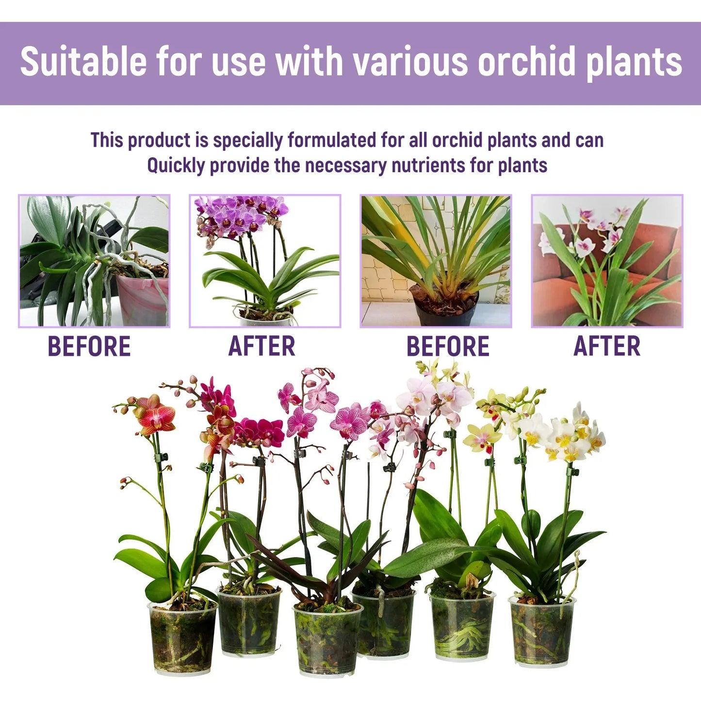 Fertilizante líquido especial para orquídeas de 50 ml, para plantas de jardín hidropónico, suplemento de nutrición y crecimiento. Nutrientes compuestos para flores.
