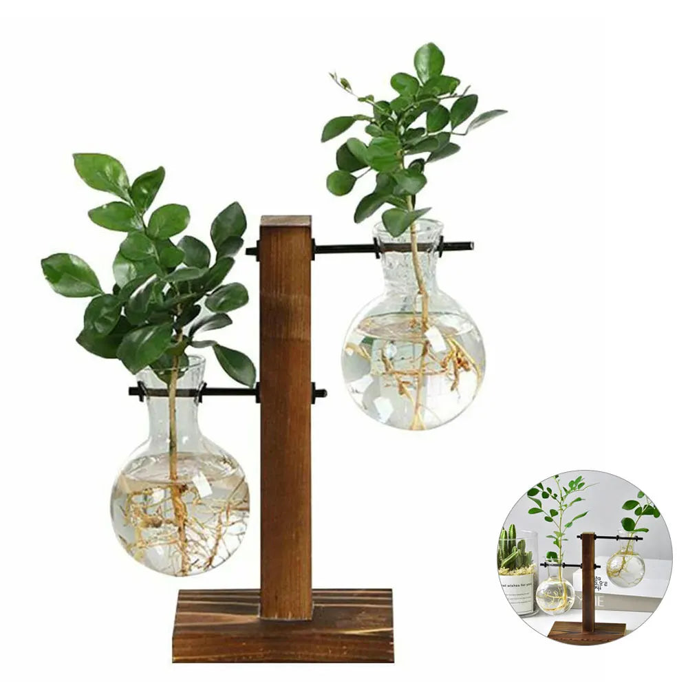 Macetero de escritorio creativo, jarrón de bulbo con soporte de madera, contenedor para plantas hidropónicas, decoración para el hogar y la mesa.