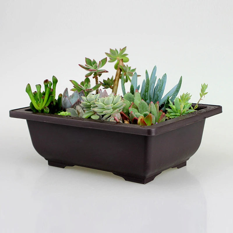 Macetas rectangulares de plástico para entrenamiento de bonsáis con bandeja de drenaje para plantas suculentas y bonsáis. Decoración del hogar.