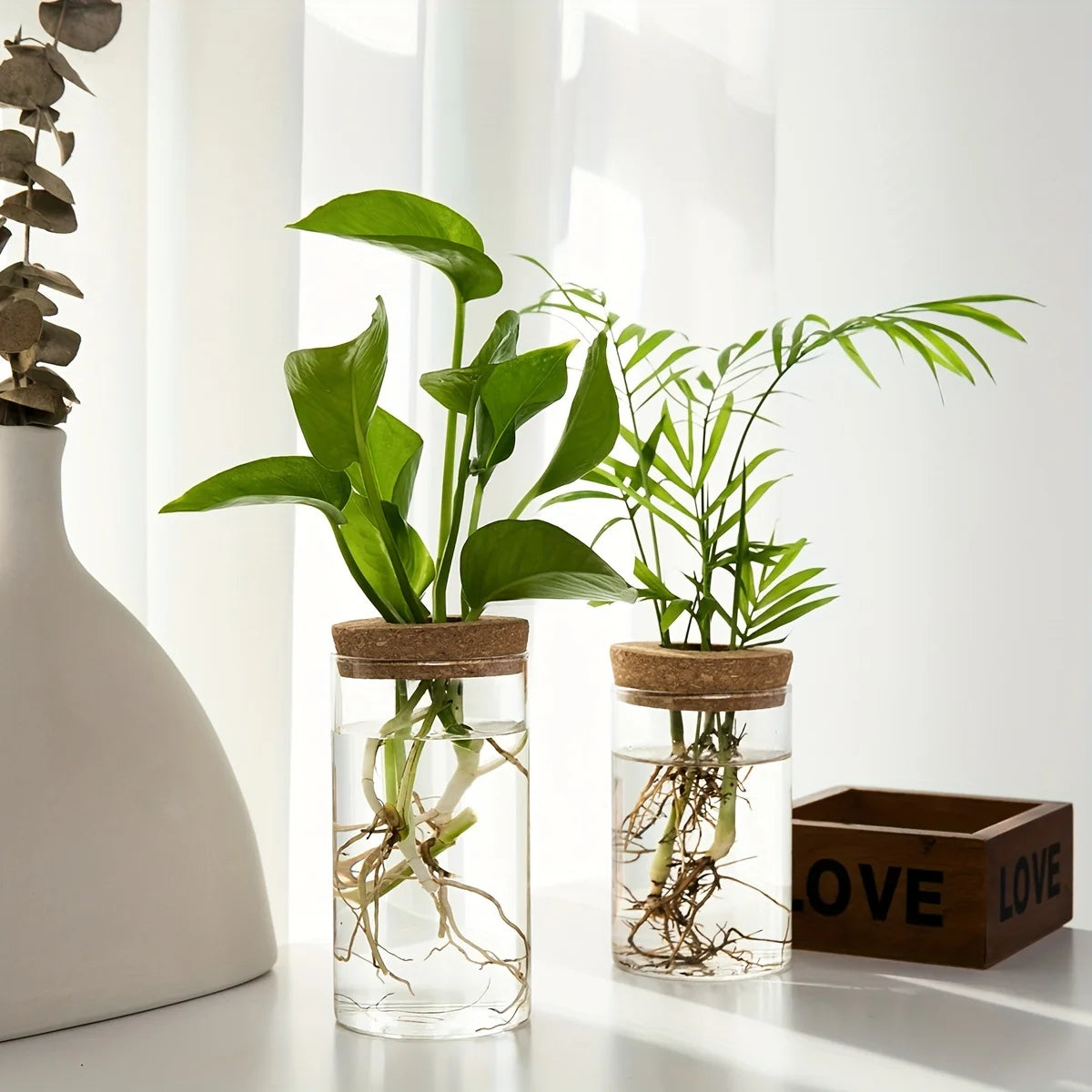 Jarrón de vidrio hidropónico de escritorio, decorativo para el hogar, para el cultivo de plantas, ideal para la oficina o como contenedor para el enraizamiento de plantas verdes.