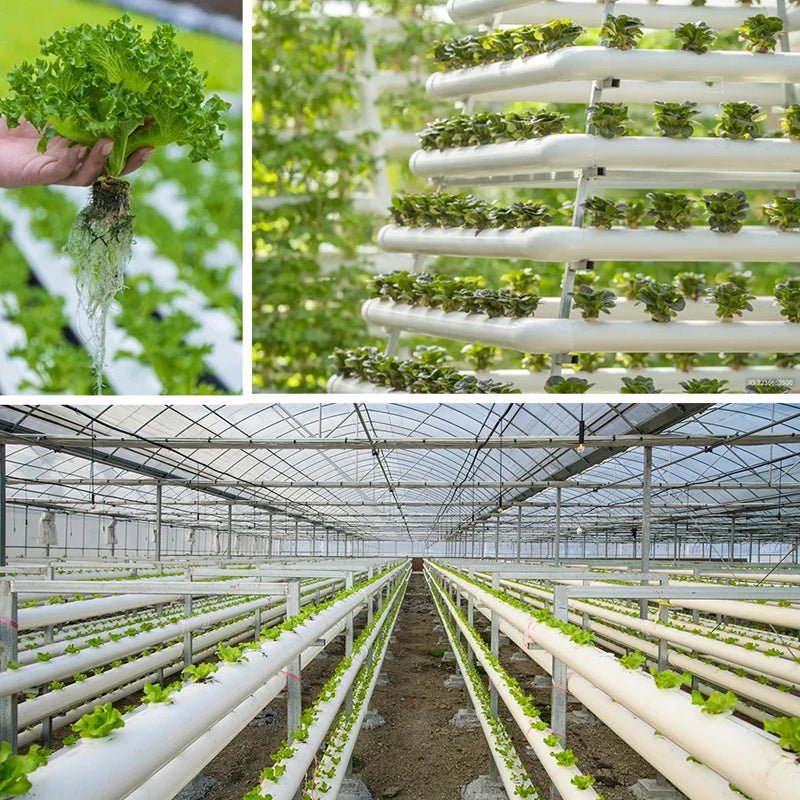 10 unidades/lote de macetas de malla negras para cultivo de hortalizas sin tierra, cestas de cultivo hidropónico para plantas, macetas de raíces fijas