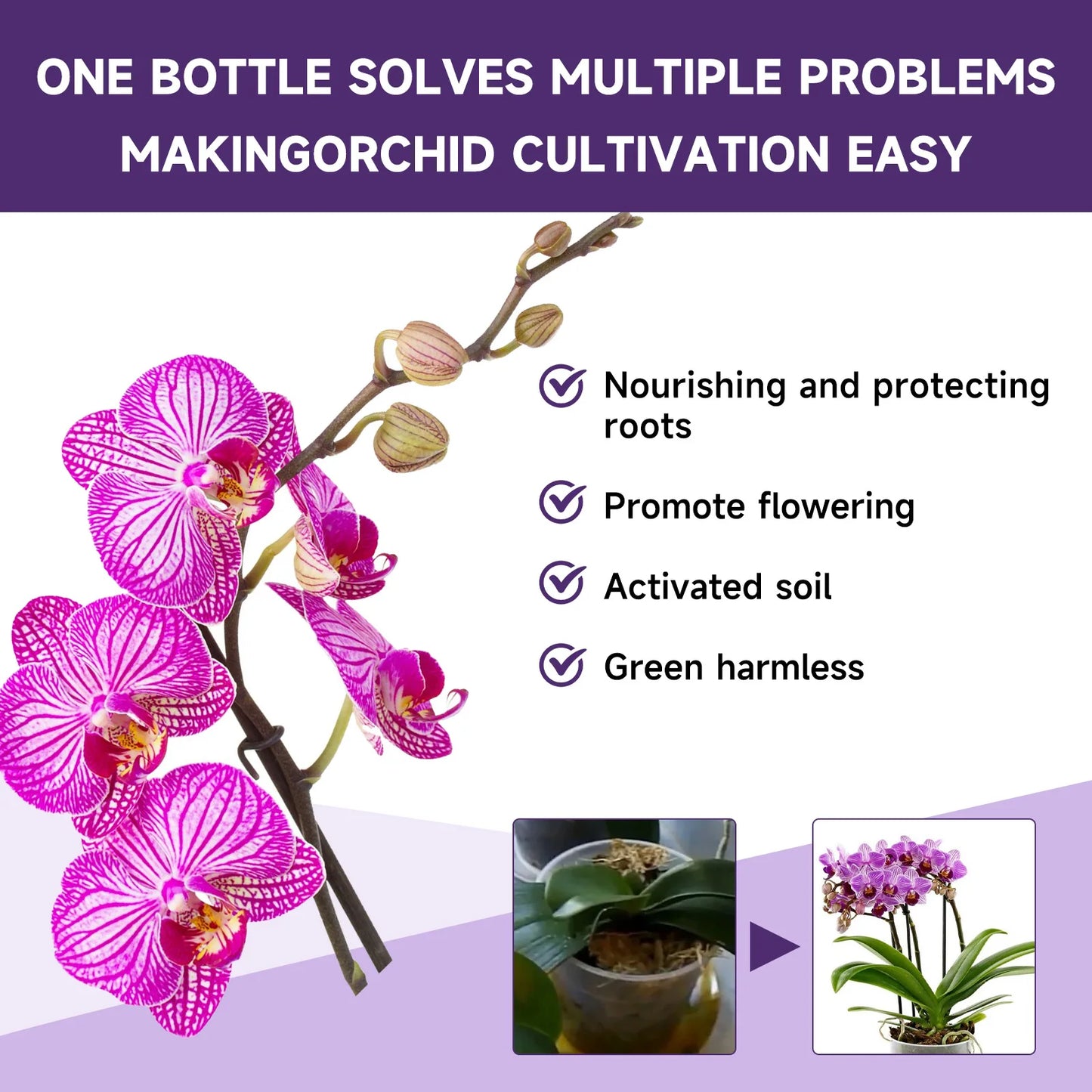 Fertilizante líquido especial para orquídeas de 50 ml, para plantas de jardín hidropónico, suplemento de nutrición y crecimiento. Nutrientes compuestos para flores.