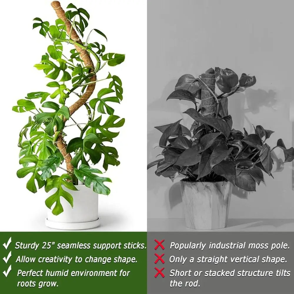 Tutor de musgo para plantas