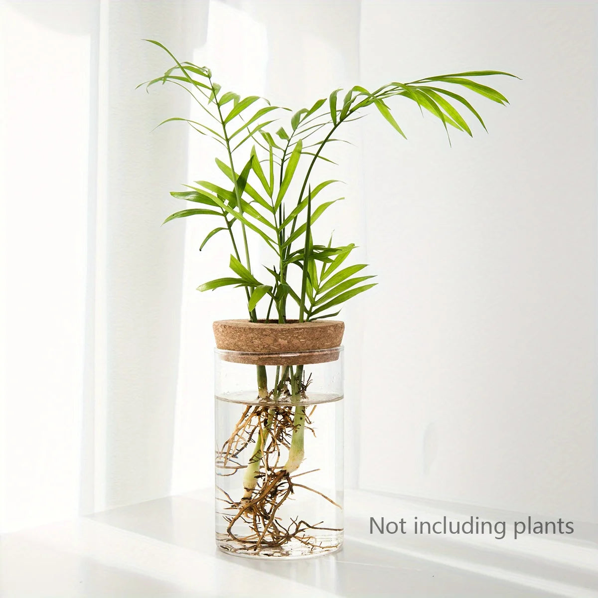 Jarrón de vidrio hidropónico de escritorio, decorativo para el hogar, para el cultivo de plantas, ideal para la oficina o como contenedor para el enraizamiento de plantas verdes.