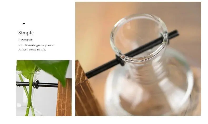 Macetero de escritorio creativo, jarrón de bulbo con soporte de madera, contenedor para plantas hidropónicas, decoración para el hogar y la mesa.