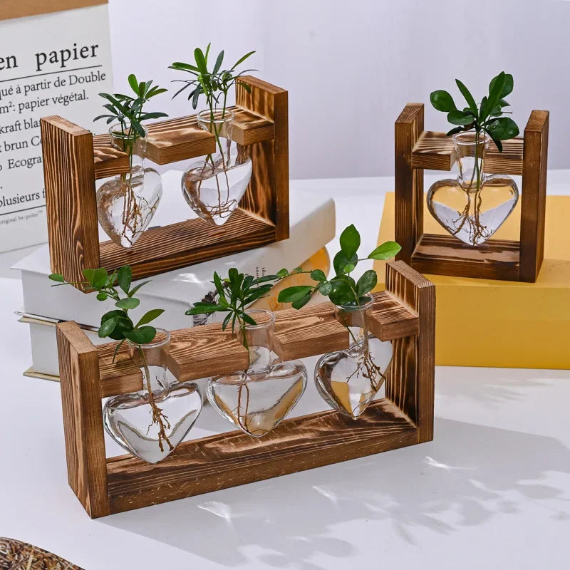 Frascos transparente para sala de estar, pequeño y fresco, de estilo europeo, con diseño de rábano verde hidropónico.