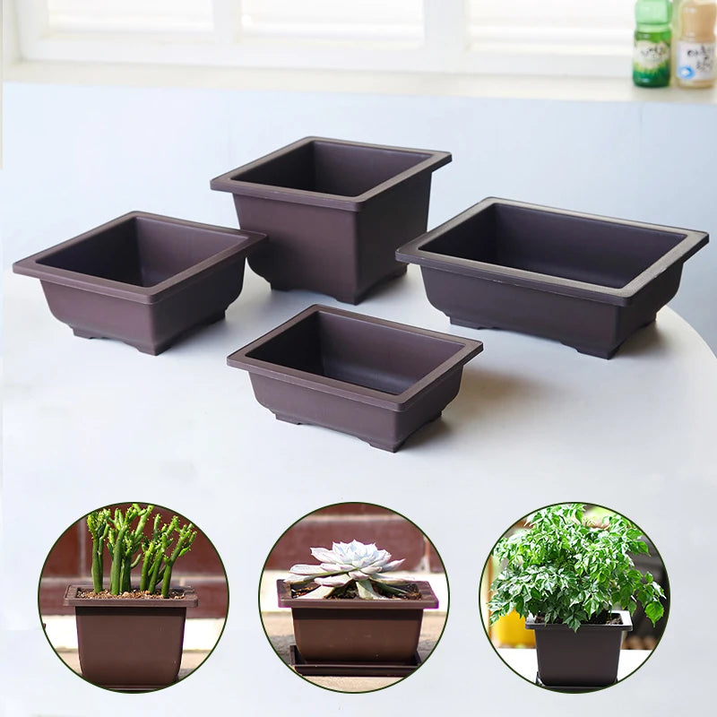 Macetas rectangulares de plástico para entrenamiento de bonsáis con bandeja de drenaje para plantas suculentas y bonsáis. Decoración del hogar.
