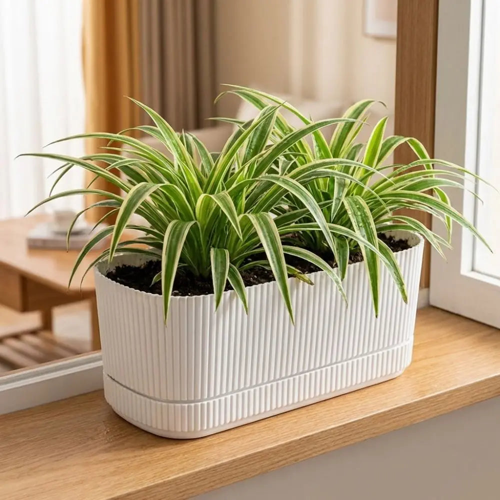 Maceta de plástico de doble capa con autorriego, jarrón de escritorio, maceta para plantas, engrosada, con orificio de drenaje, contenedor para verduras.