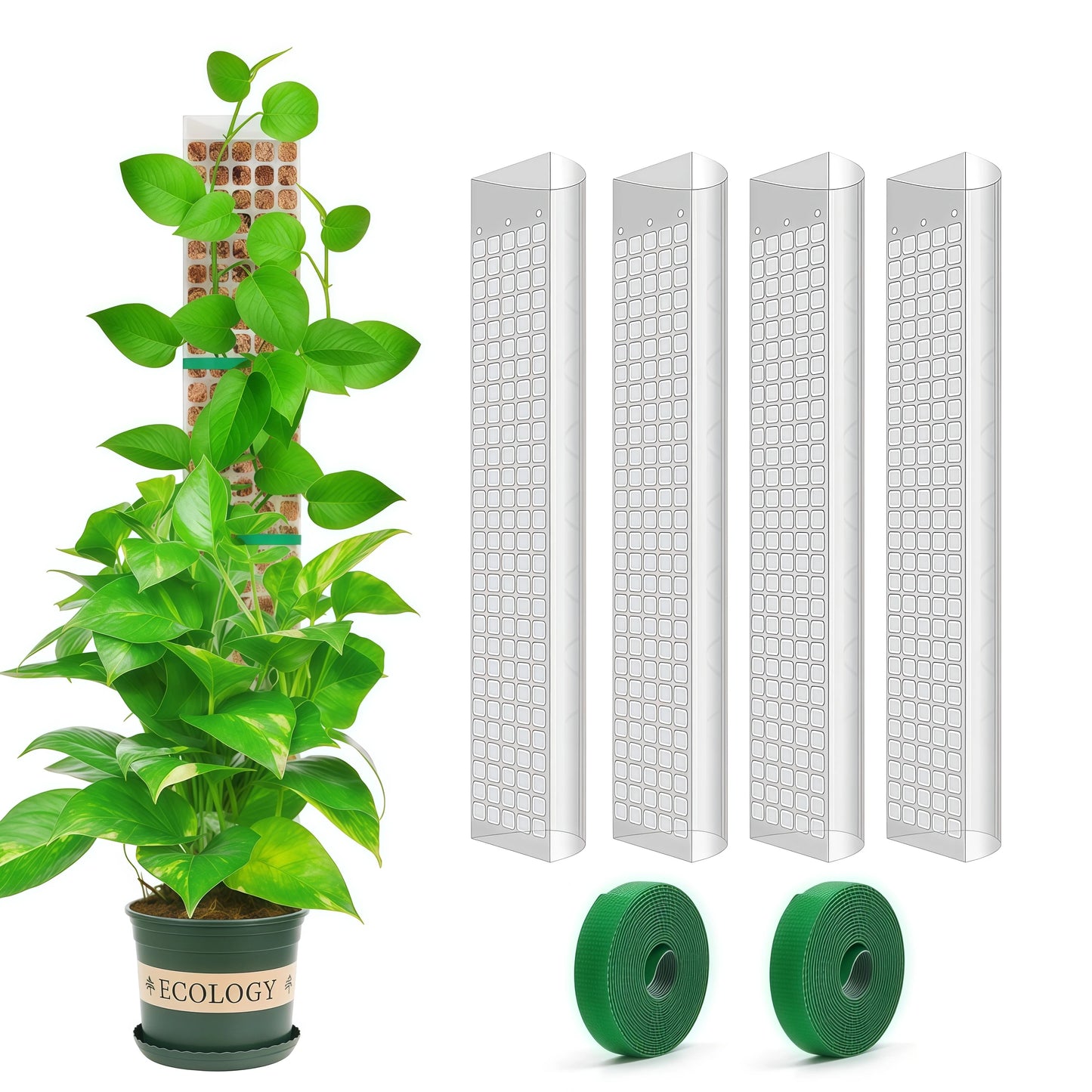 Tutor para plantas