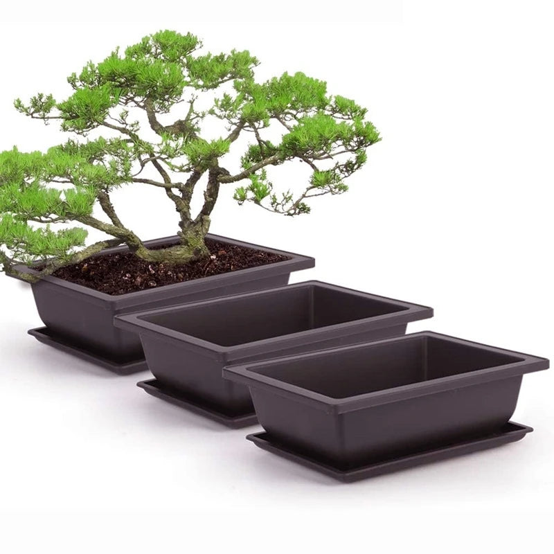 Macetas rectangulares de plástico para entrenamiento de bonsáis con bandeja de drenaje para plantas suculentas y bonsáis. Decoración del hogar.
