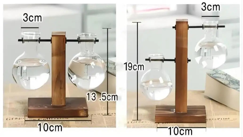Macetero de escritorio creativo, jarrón de bulbo con soporte de madera, contenedor para plantas hidropónicas, decoración para el hogar y la mesa.