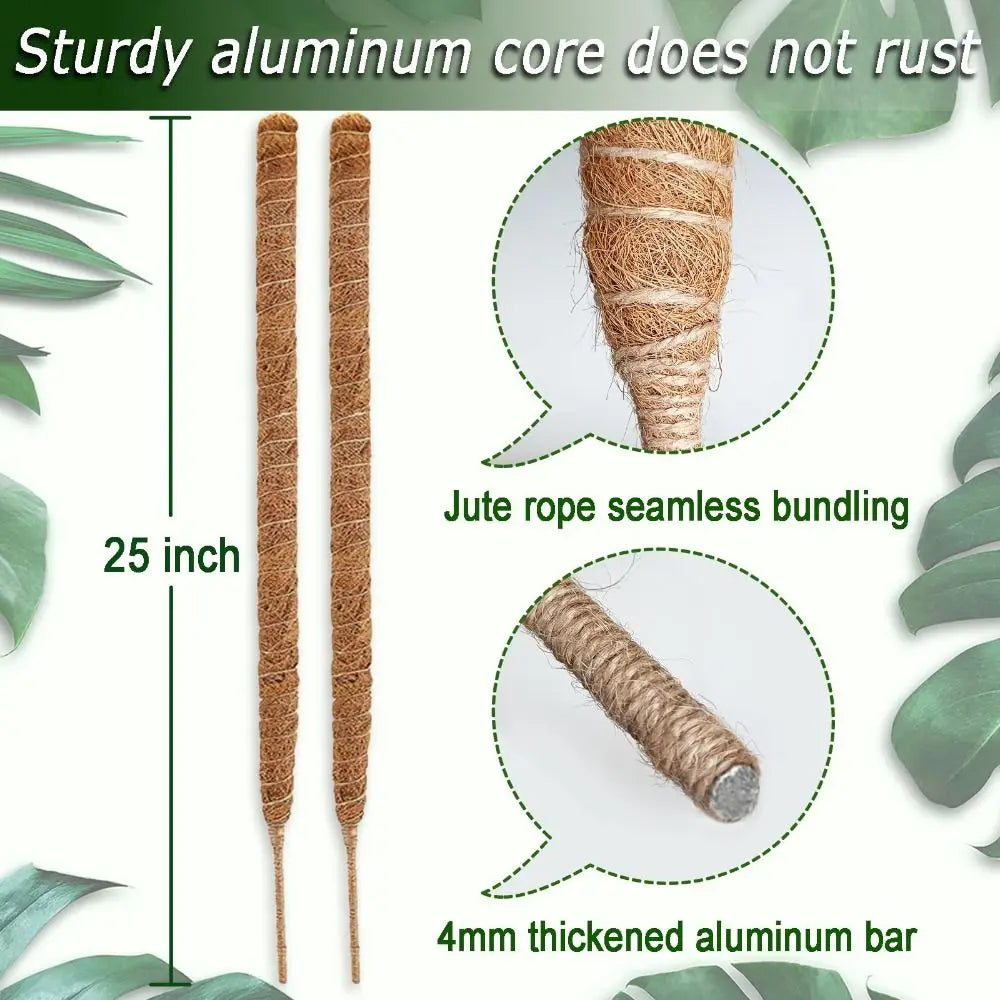Tutor de musgo para plantas