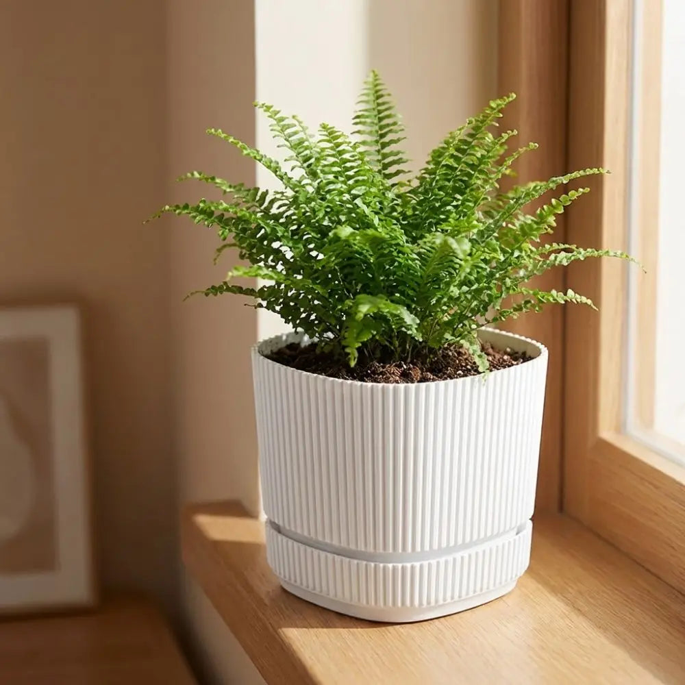 Maceta de plástico de doble capa con autorriego, jarrón de escritorio, maceta para plantas, engrosada, con orificio de drenaje, contenedor para verduras.