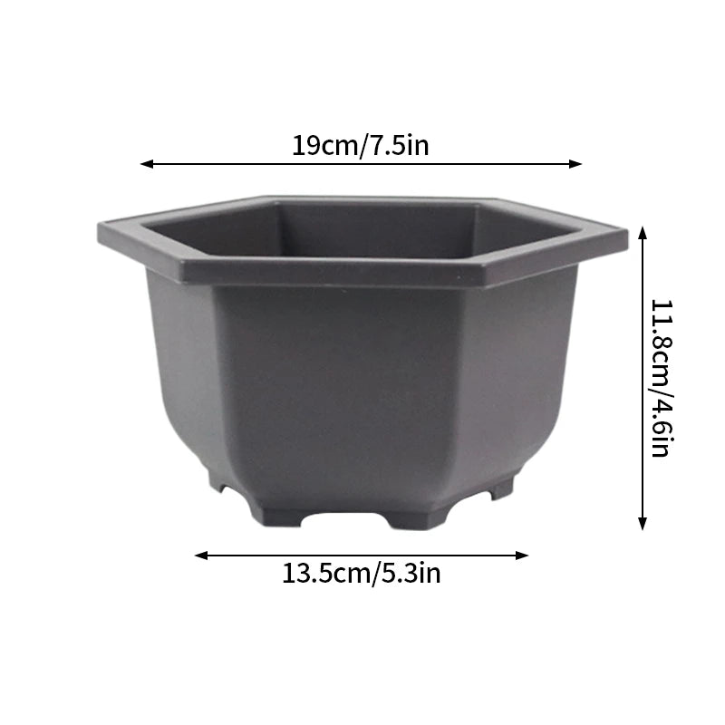 Macetas rectangulares de plástico para entrenamiento de bonsáis con bandeja de drenaje para plantas suculentas y bonsáis. Decoración del hogar.