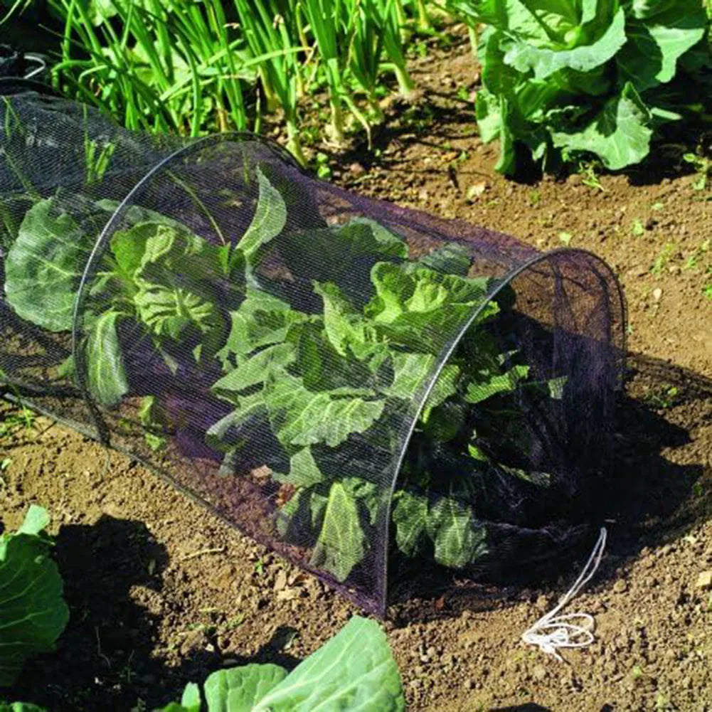 Túnel de jardín, invernadero, malla negra, cubierta de plástico para cultivo de hortalizas.