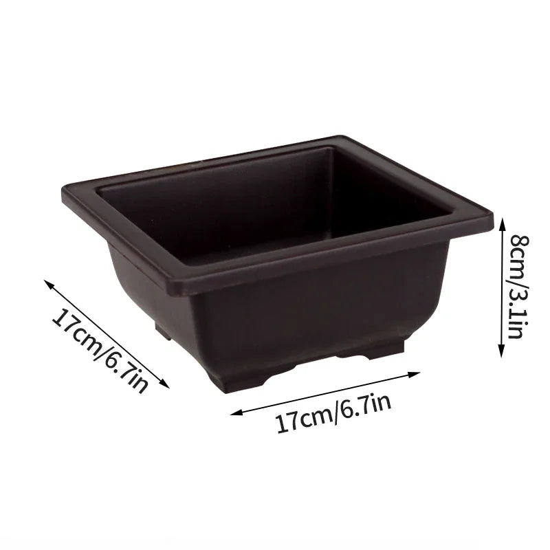 Macetas rectangulares de plástico para entrenamiento de bonsáis con bandeja de drenaje para plantas suculentas y bonsáis. Decoración del hogar.